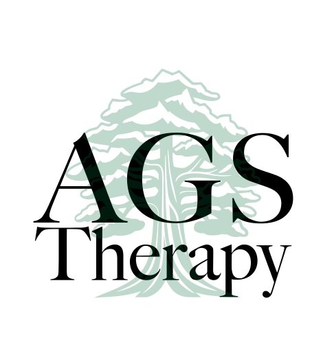 ags-therapy.com